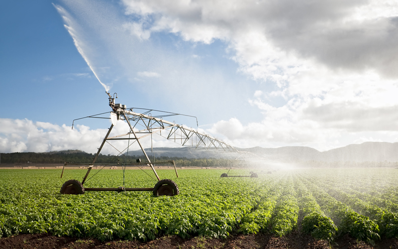 Agricultural Loans